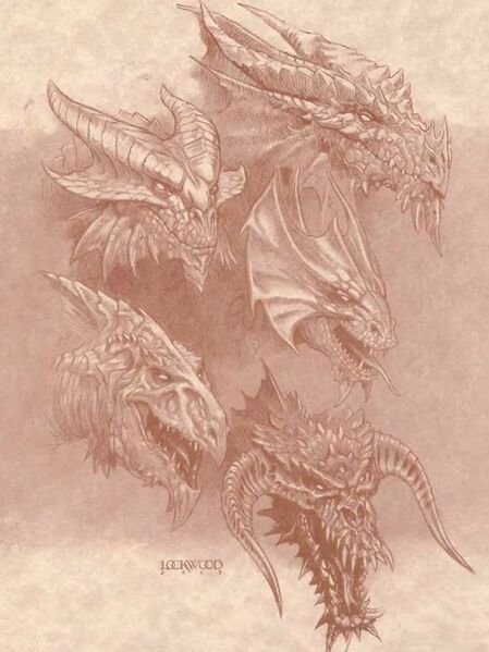 File:Dragons1.jpg