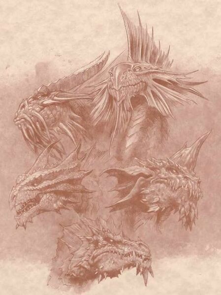 File:Dragons2.jpg