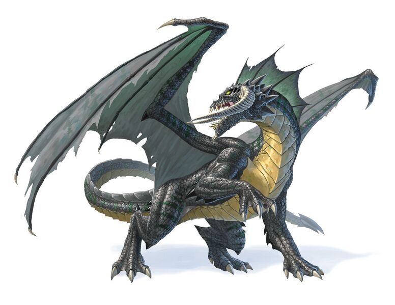 File:Black dragon.jpg